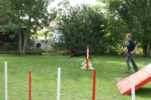 agility 2011-07-24